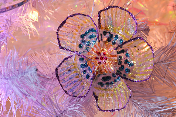 DSC_8364